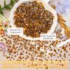 21000Pcs Gold Rhinestones for Bedazzling Kit, Mix Sizes Jelly Bedazzling Resin Gems, Gold Gems Bedazzling for Crafting, Flatback Resin Rhinestones for Craft DIY Face Makeup view 4