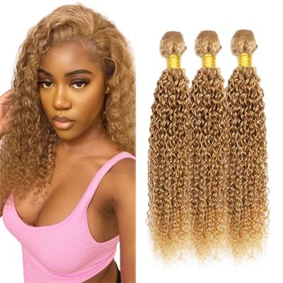 Color 27 Bundles Human Hair Honey Blonde Curly Human Hair Bundles Brazilian Grade 8A Remy Blonde Wet and Wavy Bundle Human Hair Extensions for Black Women (26 28 30 Inch)