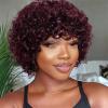 10 Inch Short Afro Kinky Curly Human Hair Wig With Bangs For Black Women view 4