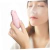 NOLITOY Portable Pink Dinosaur Nanometer Facial Steamer USB Rechargeable Cool Mist Sprayer for Skin Cleansing Oil Balance and Cell Circulation Enhancement view 3