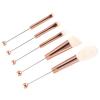 5X Eye Makeup Brush Set Professional Cosmetic Brushes for Adults Angled Eyebrow Brush Set view 1