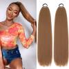 2 Packs Long Braided Ponytail Extensions with Hair Ties Natural Soft Synthetic Hair Piece for Black Women Straight Wrap Around Hair Extensions Ponytail (12#, 24 Inch (Pack of 2)) view 1