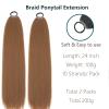 2 Packs Long Braided Ponytail Extensions with Hair Ties Natural Soft Synthetic Hair Piece for Black Women Straight Wrap Around Hair Extensions Ponytail (12#, 24 Inch (Pack of 2)) view 2