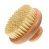 AUTSUPPL Handheld Bath Brush with Rounded Handle for Skin Exfoliating and Deep Cleaning Compact Body Scrubber for Legs Arms Chest Durable Skin Safe Material for Home and Dorm Use view 1