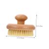 AUTSUPPL Handheld Bath Brush with Rounded Handle for Skin Exfoliating and Deep Cleaning Compact Body Scrubber for Legs Arms Chest Durable Skin Safe Material for Home and Dorm Use view 3