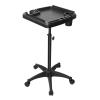 Barber Cart Rolling Tray Aluminum Trolley Cart Height Mobile Beauty Barber Spa Storage Salon Tattoo Hairstylist Tool for Hairdressing Tools view 1