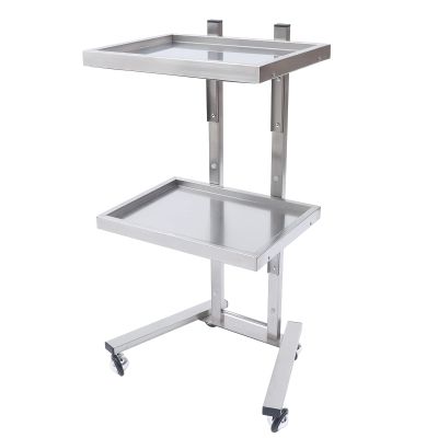 2 Tier Metal Rolling Cart, 34.3Inch Foldable Utility Carts with U-Shaped Handle Stainless Steel Salon Storage Stand with Trays and 4 Wheels Up to 132.28lbs for Bedroom,Tattoo Shop,Salon SPA (Sliver)