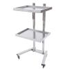 2 Tier Metal Rolling Cart, 34.3Inch Foldable Utility Carts with U-Shaped Handle Stainless Steel Salon Storage Stand with Trays and 4 Wheels Up to 132.28lbs for Bedroom,Tattoo Shop,Salon SPA (Sliver) view 1