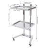 2 Tier Metal Rolling Cart, 34.3Inch Foldable Utility Carts with U-Shaped Handle Stainless Steel Salon Storage Stand with Trays and 4 Wheels Up to 132.28lbs for Bedroom,Tattoo Shop,Salon SPA (Sliver) view 2