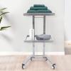 2 Tier Metal Rolling Cart, 34.3Inch Foldable Utility Carts with U-Shaped Handle Stainless Steel Salon Storage Stand with Trays and 4 Wheels Up to 132.28lbs for Bedroom,Tattoo Shop,Salon SPA (Sliver) view 3