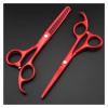 5.5 Inch Professional Hair Cutting Scissors Set - Barber & Thinning Scissors for Hairdressers and Pet Grooming (White B) view 4