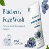 Blueberry Face Wash For Glowing Skin | Hydrating Face Wash For Men & Women | Deep Cleansing Anti Pollution For Women & Men 100ml view 2