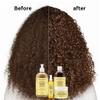 Aisunlee Jamaican Black Castor Oil Leave-In Conditioner  Strengthen & Restore with Shea Butter, Peppermint & Apple Cider Vinegar  10.5 oz view 3
