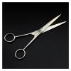 5/6'inch Small Eyebrow Style Hairdresser, Makeup Scissors, Hairdresser Scissors view 2