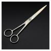 5/6'inch Small Eyebrow Style Hairdresser, Makeup Scissors, Hairdresser Scissors view 4
