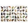 100PCS Realistic Wildlife Jungle Animal Temporary Tattoos Sticker Reptile Birthday Party Decorations Supplies Favors Gifts Boys Girls Zoo Cute Fake Tattoo School Reward Themed view 3