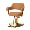 OmySalon Barber Chairs for Barbershop Brown and Gold Styling Chair, Salon Chair for Hair Stylist Heavy Duty Hydraulic Pump, 360Swivel with Footrest, Hairdressing Home Beauty Spa Braiding Equipment view 1