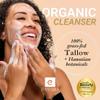 Eavara Tallow & Honey Balm, Tallow Cleanser, & Eye Cream Set  Organic Skincare Trio with Grass-Fed Tallow, Activated Charcoal, Aloe Vera, Vitamin E  Gently Cleanses & Deeply Moisturizes view 2