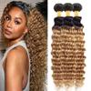 Biliisyff Ombre Blonde Bundles Human Hair 1b27 Deep Wave Bundles Brazilian Virgin Remy Hair 2 Tone Black and Honey Blonde Bundles Peruvian Grade 8A Virgin Hair Extensions 24 26 28 Inch view 1