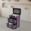 GONGDUN Rolling Makeup Case Large Capacity Cosmetic Case Trolley Hand-held/Hand-pulled Make Up Organizer Box Suitcase Cosmetic Trolley Makeup Suitcase W/Lock & Silent Universal Wheels (Purple Silver) view 4