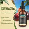 Dr. Healdy Batana Oil for Hair Growth, 100% Pure & Unrefined - Deep Repair Dry Damaged Hair, Reduce Frizz & Split Ends, Nourish Scalp with Omega 9 & Vitamin E, for All Hair Types (60ml 2.03Fl.Oz) view 3