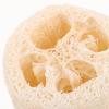 Didiseaon 8pcs Natural Loofah Bath Scrubbers Exfoliating Shower Sponge for Cleaning Luffa Pads for Gentle Skin Dishwashing view 3