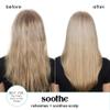 HASK Shampoo + Conditioner Set | Color Safe, Sulfate-Free, Paraben-Free, Gluten-Free, Cruelty-Free | 16oz each, 2 Pack view 3