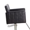Eastmagic Salon Chair for Hair Stylist Hydraulic Barber Chair for Barbershop Height Adjustable 360 Degrees Swivel view 2
