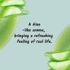 Aloe vera body scrubSugar Scrub, 20 Pack - self care gifts for women,Travel Essentials,Hydrating and exfoliating body scrubber for Nourishing Essential Body Carefor the face, body and feet view 4
