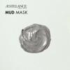 Aestelance Mud Mask for Hair and Scalp, Natural Treatment for Dry, Damaged and Overprocessed Hair 5.1 oz view 3