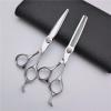 6 Inch Japan 440c Steel Silver Hair Scissors Set for Professional Haircutting view 1