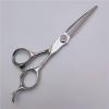 6 Inch Japan 440c Steel Silver Hair Scissors Set for Professional Haircutting view 2