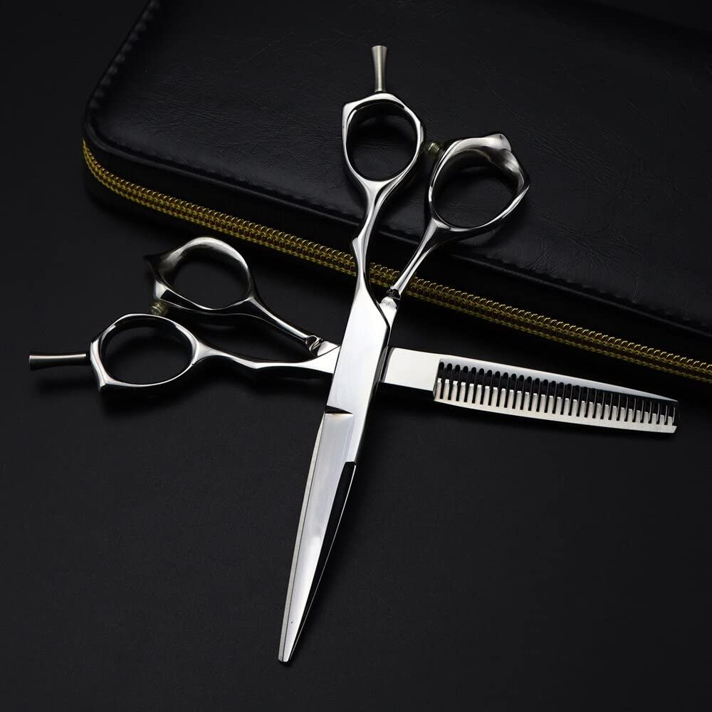 6 Inch Japan 440C Steel Professional Hair Cutting Shears - Upscale Silver Scissors for Hairdressers