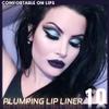 SUAKE Plump Matt Lipstick Lipliner Pencil Pack,Waterproof Crayon with Silicone Smudger for Define Contours & Sculpting Lip, Longwear Moisture Smooth Creamy Formula for Lip Makeup-10 Deep Purple view 2