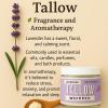 Lady May Tallow Whipped Tallow 9oz - All Natural Face Cream + Whole Body Moisturizer for Dry Skin - Made With Scented Oil Blend - No Preservatives, Parabens or Seed Oils - USA Made (Lavender) view 2