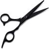 Professional 6 Inch Japan Hair Scissors Hair Cutting Salon Scissor Hairdressing Thinning Scissors Hairdressing Scissors Set (Black-6 Zoll view 3
