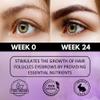 PELARMINA Eyebrow & Eyelash Growth Serum/Oil With Redensyl, Biotin (30 ML) | Brow & Lash Boosting Enhancer for Thick Eyebrows and Eyelashes (Pack of 1) view 4