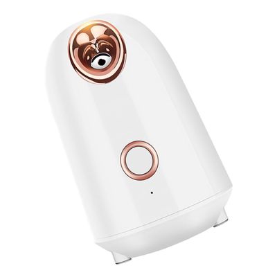 Healvian Multifunctional Facial Steamer Nano Warm Mist Humidifier for Skin Care Unclogs Pores Reduces Wrinkles and Fine Lines Home Use with US Plug Ivory White
