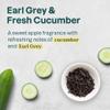 ATTITUDE Foaming Hand Soap, EWG Verified, Plant and Mineral-Based Ingredients, Vegan and Cruelty-free Personal Care Products, Earl Grey & Fresh Cucumber, 10 Fl Oz (Pack of 3) view 4