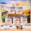 25 Pack Christmas Christian Gifts Bulk for Women Men Religious Lip Balms Bulk Church Party Favors Christmas Party Gifts Stocking Stuffers Bible Verse Study Supplies for Employee Staff Coworkers view 2