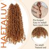 Haftaluv Yanky Twist Crochet Hair 12 Inch 9 Packs Pre Looped Mini Twist Yankee Twist Micro Yaki Twist Synthetic Curly Crochet Hair Extensions For Black Women (#30, 12 Inch) view 3