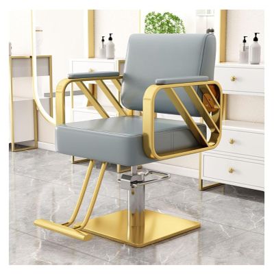Adjustable Height and 360 Degree Swivel Tattoo Chair, Salon Chairs Hydraulic Barber Chairs,Your Ideal Choice