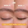 Handmade Heroes 100% Natural Vegan Lash & Brow Serum  Rosemary & Pumpkin Seed Oil for Fuller, Thicker Looking Eyelashes, Eyebrows  Gentle & Nourishing Formula Prostaglandin Free view 4