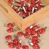 10pcs Ladybug Hair Clips Cute Insect Hairpins Girls Hair Accessories for Daily Wear Cosplay and Parties Hair Decoration view 2