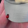 10pcs Ladybug Hair Clips Cute Insect Hairpins Girls Hair Accessories for Daily Wear Cosplay and Parties Hair Decoration view 4