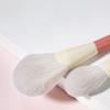 Makeup Brush Set Bristles Soft 12 Pieces Blush Loose Brush Beauty Makeup Tools Loose Brush Full Set(E) view 4