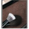 12 Pcs Ebony Makeup Brush Set Full Set of Professional Animal Hair Powder Painting Eye Shadow Brush Tools view 3