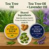 KmaxShip Tea Tree Oil Cuticle Balm Day & Night Set - Cuticle Cream & Butter for Dry, Damaged Cuticles - Includes Cuticle Brush for Easy Application - Cuticle Healing Treatment Moisturizer, 1.1 OZ 2PK view 2