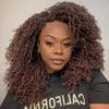 Toyotress Yanky Twist Crochet Hair - 14 Inch 8 Packs (30 Strands/Pcs) Fluffy Spring Mini Twist Passion Twist, Black Mix Copper Pre-Looped Crochet Braids Braiding Hair (14 Inch, F1B/350-8P) view 2