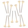 Fan Makeup Brush Set 12pcs Soft Nylon Facial Mask Applicator for Women for Skincare and Beauty Treatments(Multi) view 1